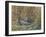 Africa, Zambia. Leopard Resting in Grass-Jaynes Gallery-Framed Photographic Print
