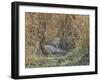 Africa, Zambia. Leopard Resting in Grass-Jaynes Gallery-Framed Photographic Print