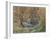 Africa, Zambia. Leopard Resting in Grass-Jaynes Gallery-Framed Photographic Print