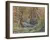 Africa, Zambia. Leopard Resting in Grass-Jaynes Gallery-Framed Premium Photographic Print