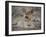 Africa, Zambia. Portrait of Lion Cub-Jaynes Gallery-Framed Photographic Print