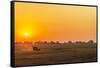 Africa, Zambia. Sunrise in the Kafue National park-Catherina Unger-Framed Stretched Canvas