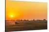 Africa, Zambia. Sunrise in the Kafue National park-Catherina Unger-Stretched Canvas