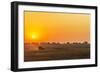 Africa, Zambia. Sunrise in the Kafue National park-Catherina Unger-Framed Photographic Print