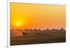Africa, Zambia. Sunrise in the Kafue National park-Catherina Unger-Framed Photographic Print