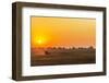 Africa, Zambia. Sunrise in the Kafue National park-Catherina Unger-Framed Photographic Print