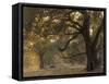 Africa, Zambia. Sunset on Forest-Jaynes Gallery-Framed Stretched Canvas