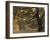 Africa, Zambia. Sunset on Forest-Jaynes Gallery-Framed Photographic Print