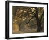 Africa, Zambia. Sunset on Forest-Jaynes Gallery-Framed Photographic Print