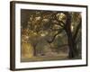 Africa, Zambia. Sunset on Forest-Jaynes Gallery-Framed Photographic Print