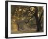 Africa, Zambia. Sunset on Forest-Jaynes Gallery-Framed Photographic Print