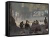 Africa, Zambia. Troop of Baboons Resting-Jaynes Gallery-Framed Stretched Canvas