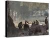 Africa, Zambia. Troop of Baboons Resting-Jaynes Gallery-Stretched Canvas