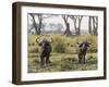 Africa, Zambia. Two Cape Buffalo Males-Jaynes Gallery-Framed Photographic Print