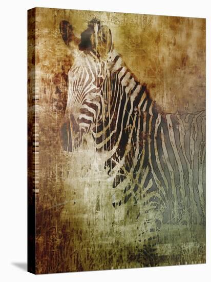 Africa Zebra-Greg Simanson-Stretched Canvas