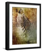 Africa Zebra-Greg Simanson-Framed Giclee Print