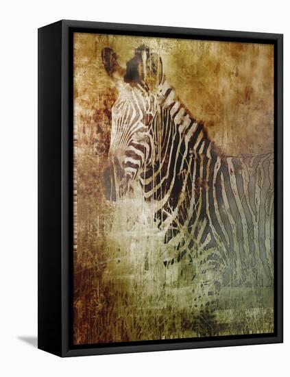 Africa Zebra-Greg Simanson-Framed Stretched Canvas