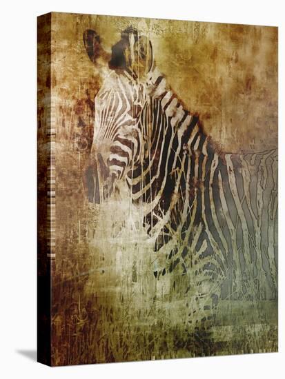 Africa Zebra-Greg Simanson-Stretched Canvas