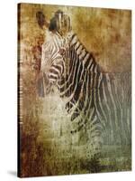 Africa Zebra-Greg Simanson-Stretched Canvas