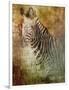 Africa Zebra-Greg Simanson-Framed Giclee Print