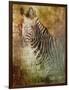 Africa Zebra-Greg Simanson-Framed Giclee Print