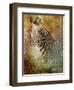 Africa Zebra-Greg Simanson-Framed Giclee Print