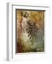 Africa Zebra-Greg Simanson-Framed Giclee Print