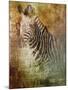 Africa Zebra-Greg Simanson-Mounted Giclee Print