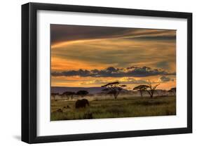 Africa-null-Framed Art Print