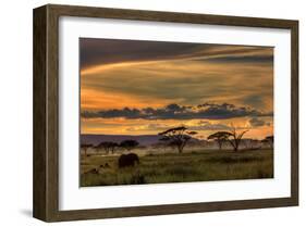 Africa-null-Framed Art Print