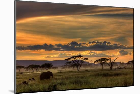 Africa-null-Mounted Art Print