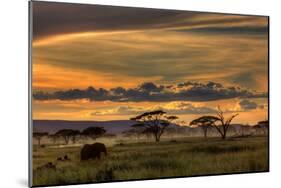Africa-null-Mounted Art Print