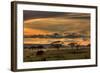 Africa-null-Framed Art Print