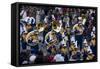 African American Band In Parade-Carol Highsmith-Framed Stretched Canvas