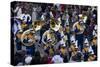 African American Band In Parade-Carol Highsmith-Stretched Canvas