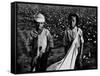 African American Children - Are Cotton Pickers Pulling Sacks Along Behind Them as They Pick Cotton-Ben Shahn-Framed Stretched Canvas