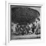 African American Children Playing in a Fountain-Marie Hansen-Framed Photographic Print