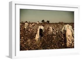 African American Day Laborers Picking Cotton Near Clarksdale, Mississippi, November 1939-Marion Post Wolcott-Framed Art Print