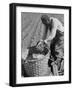 African American Farmer Planting Cotton in a Plowed Field in Butler County, Alabama, April 1941-null-Framed Photo