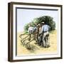 African American Field Hands Hooking Up Sugar Cane in Louisiana, c.1800-null-Framed Giclee Print