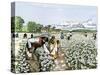 African-American Field-Hands Picking Cotton-null-Stretched Canvas