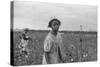 African American Girl Picking Cotton in Arkansas, Oct. 1935-null-Stretched Canvas
