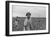 African American Girl Picking Cotton in Arkansas, Oct. 1935-null-Framed Photo