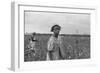 African American Girl Picking Cotton in Arkansas, Oct. 1935-null-Framed Photo