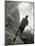 African American Male on a Training Run, New York, New York, USA-Chris Trotman-Mounted Photographic Print