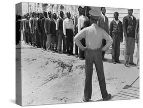 African American Marine Recruits Line Up to Begin Basic Training-null-Stretched Canvas