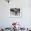 African American Marine Recruits Line Up to Begin Basic Training-null-Framed Photo displayed on a wall