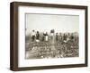 African American Men, Women, and Children, Employed as Cotton Pickers in North Carolina, 1900-null-Framed Art Print