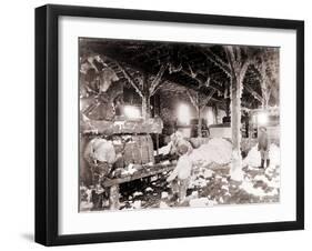 African American Men Working in a Cotton Gin at Dahomey, Mississippi, in 1898-null-Framed Photo