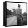 African-American on cotton patch in Mississippi, 1936-Dorothea Lange-Framed Stretched Canvas